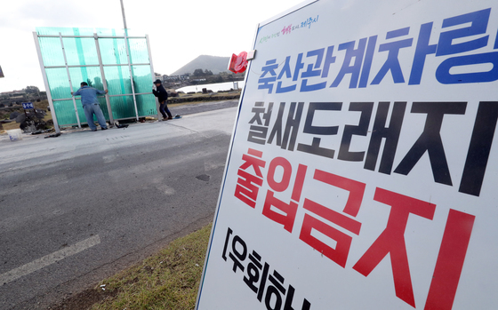 고병원성 AI 위기경보 '심각' 격상…제주, 가금농장 방사 사육 금지