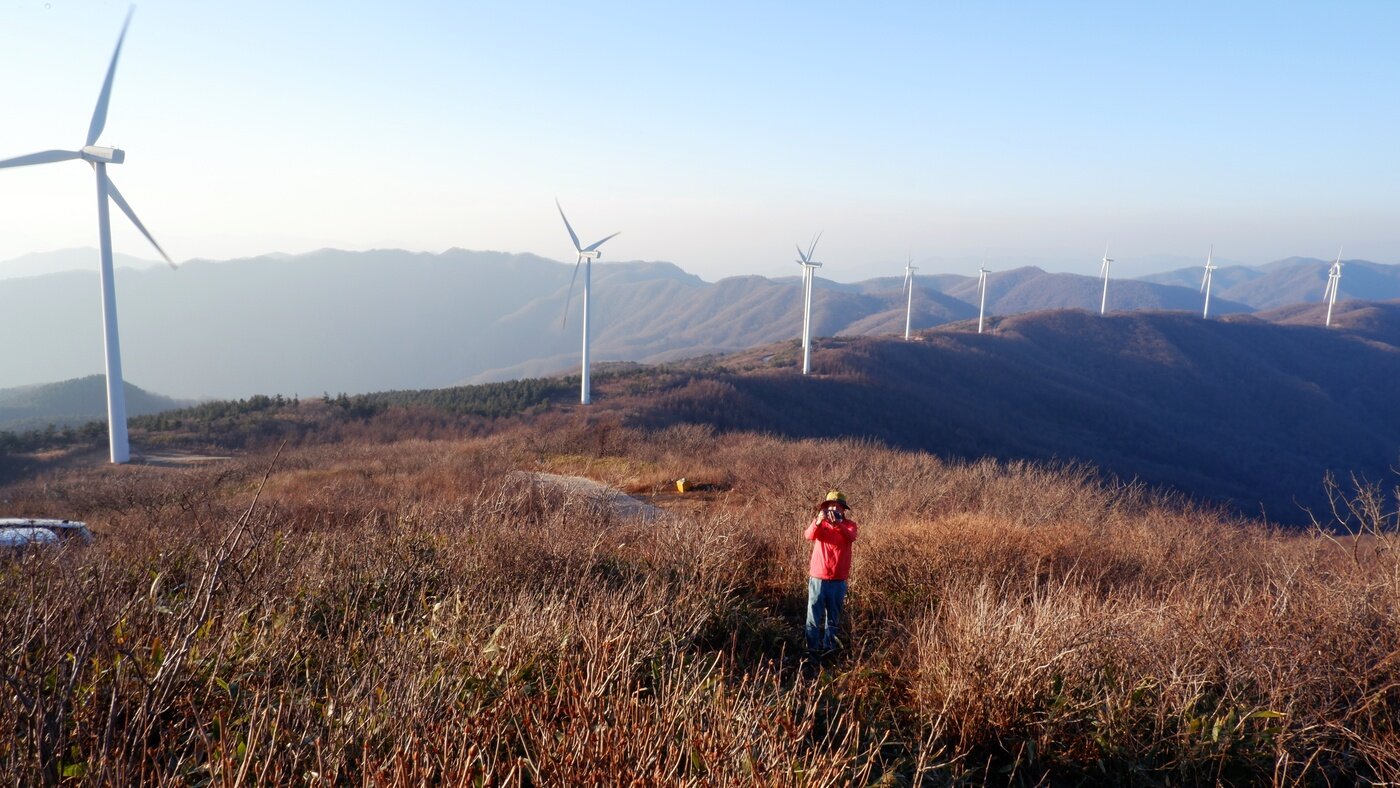 본문 이미지 - 능선을 따라 줄지어 선 풍력발전기들이 보인다ⓒ 뉴스1