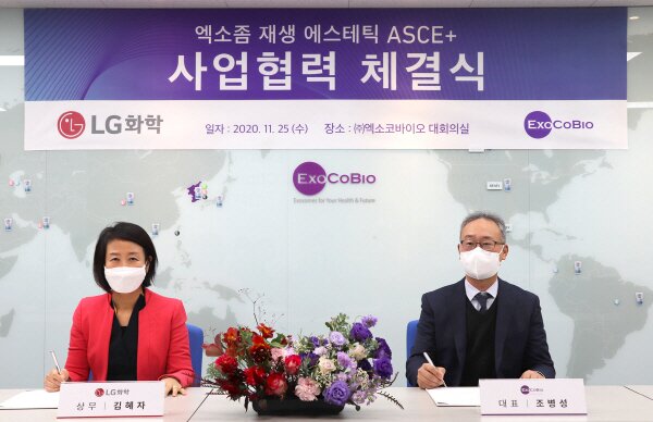 본문 이미지 - ⓒ 뉴스1