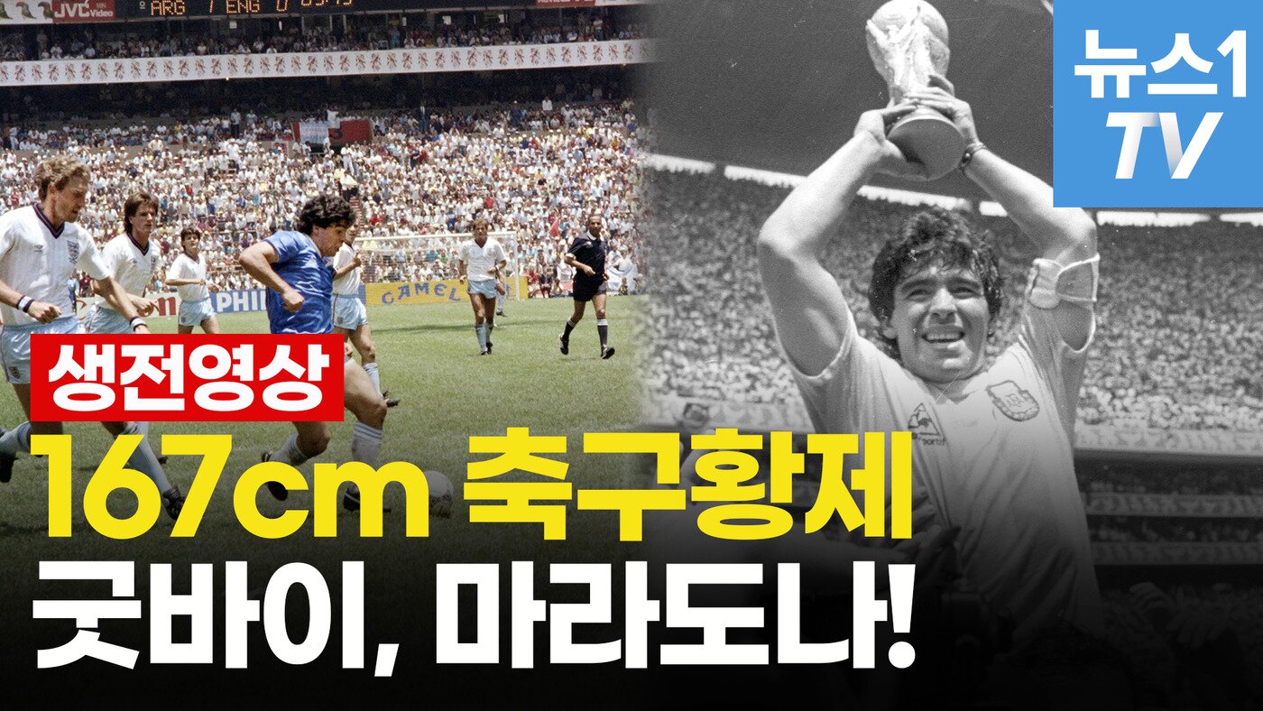 본문 이미지 - ⓒ 뉴스1