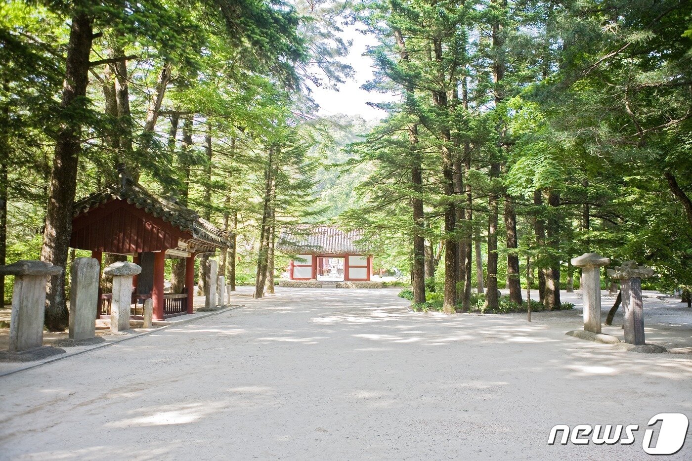 본문 이미지 - 보현사의 역사를 기록한 여러 비석들. 조계문과 해탈문 사이에 모아져 있다. (미디어한국학 제공) 2020.11.28.ⓒ 뉴스1