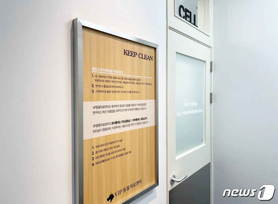 본문 이미지 - 반려동물 난치성 질환 치료를 위한 줄기세포 조직처리실. 사진 VIP동물의료센터 제공 ⓒ 뉴스1