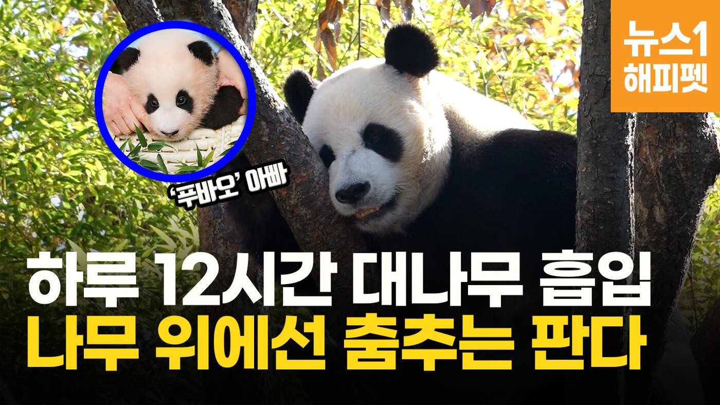 본문 이미지 - ⓒ 뉴스1