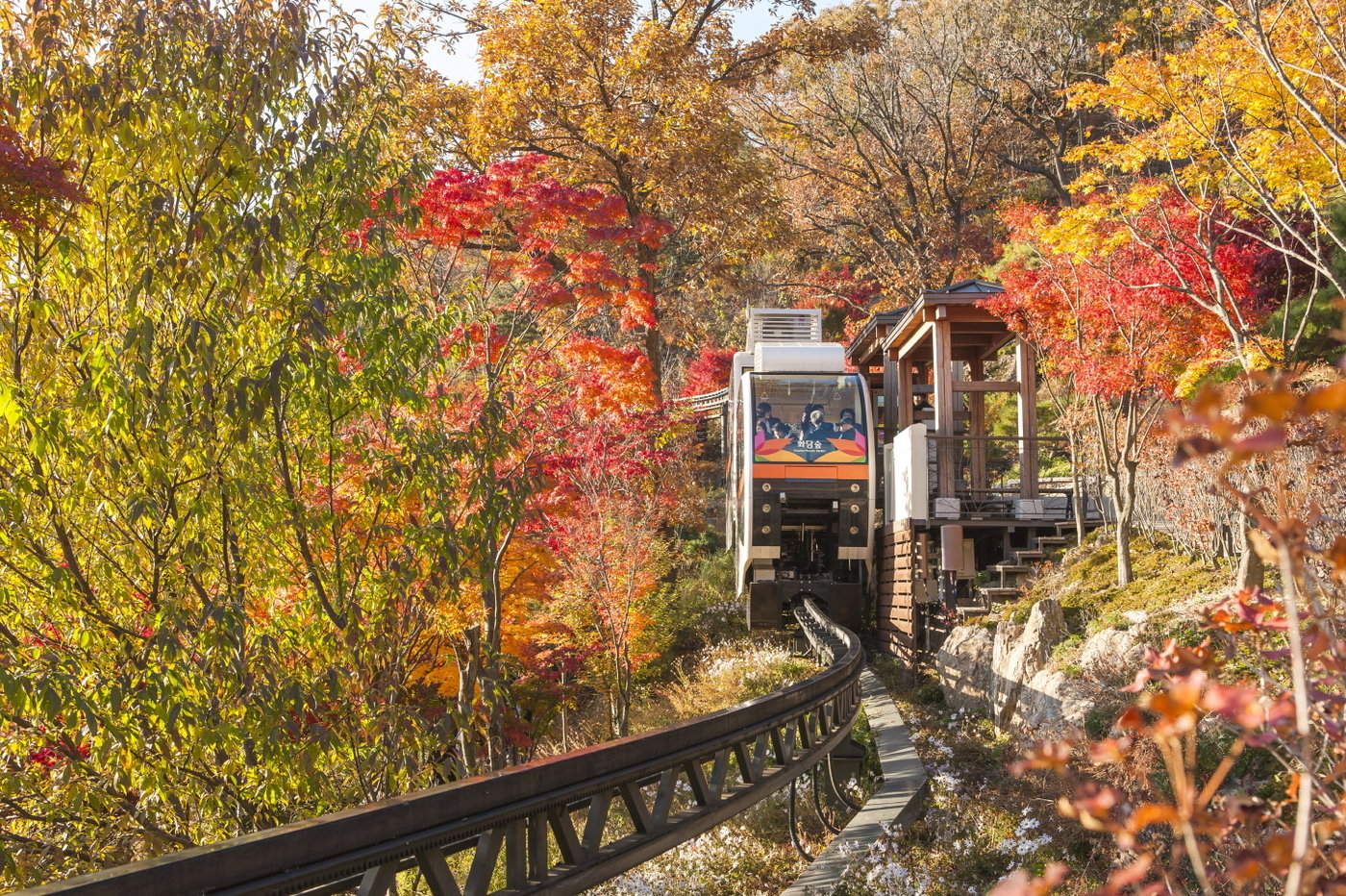 본문 이미지 - 화담숲은 산책길 전체가 완만한 경사로로 누구나 부담 없이 걸을 수 있고, 모노레일을 이용해 편안한 관람도 가능하다. 화담숲 제공