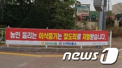 본문 이미지 - 지난 1일 전남 해남군 산이면사무소 인근 도로에 '농민 울리는 이삭줍기는 절되조로 처벌받습니다'는 플래카드가 걸려 있다.(전남 해남군 산이면사무소 제공)2020.11.07/뉴스1 ⓒ 뉴스1