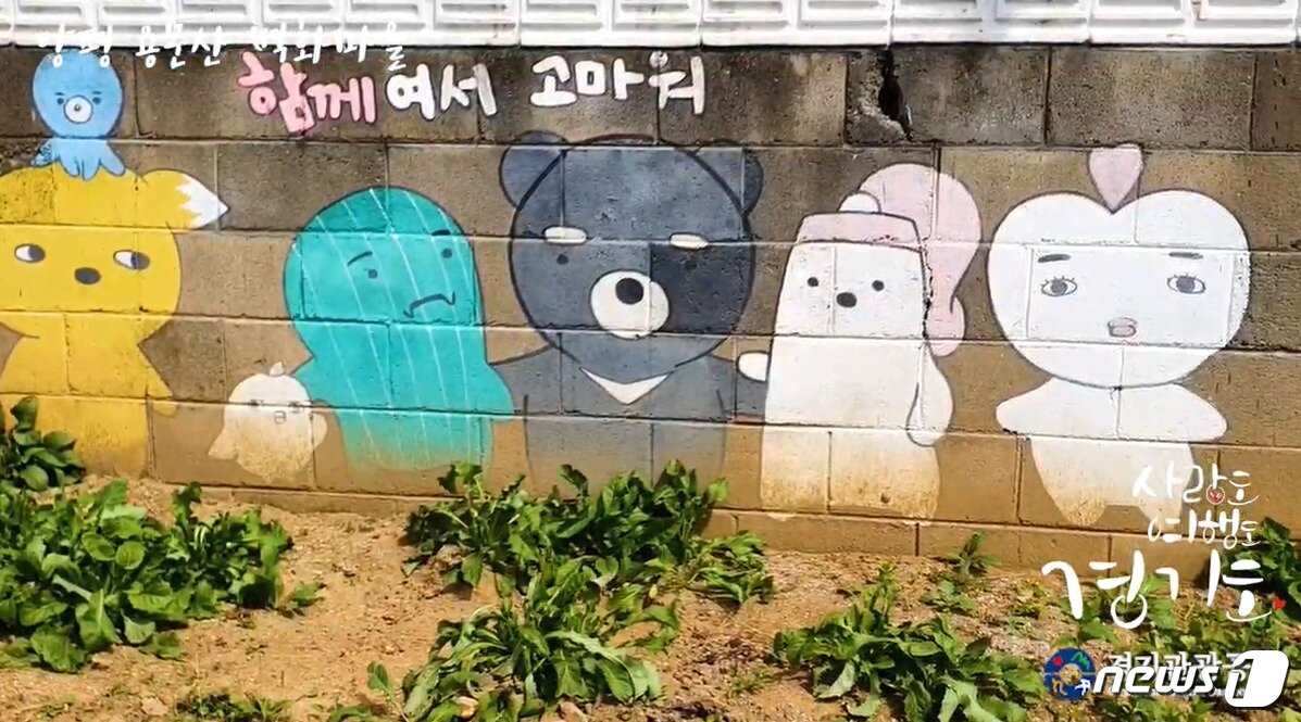 본문 이미지 - ‘양평 용문산 벽화마을’(경기관광공사 제공)/ⓒ 뉴스1