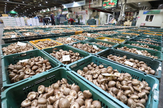 中 표고버섯 915톤 국산 '화고'로 속여 28억 챙긴 농장주 구속