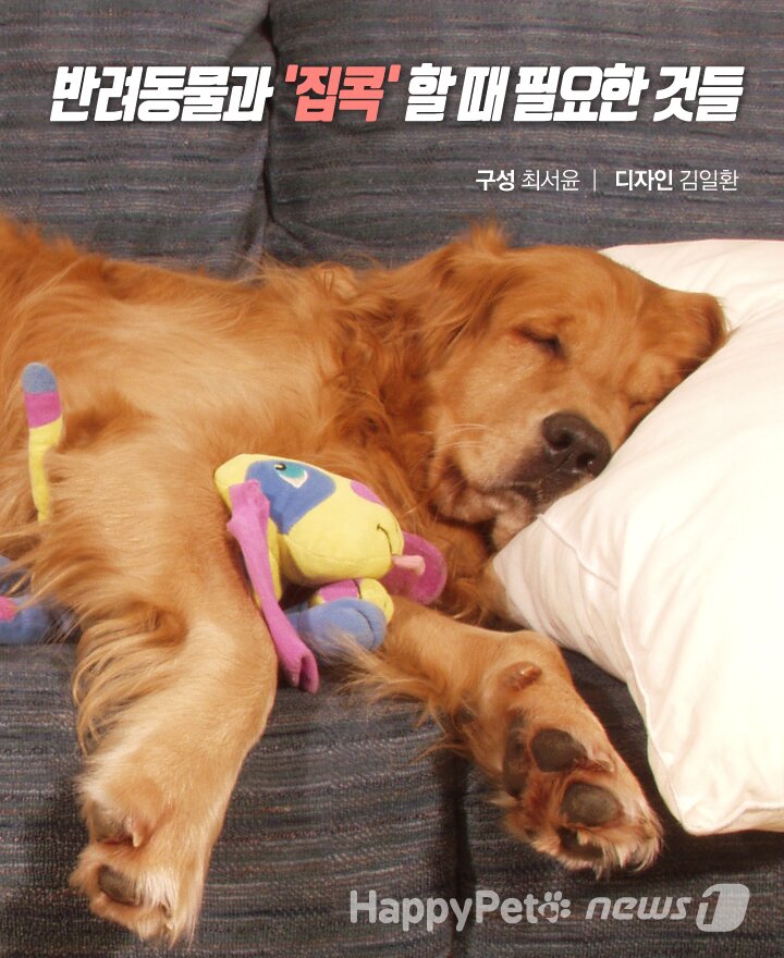 본문 이미지 -  