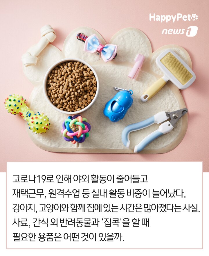본문 이미지 -  