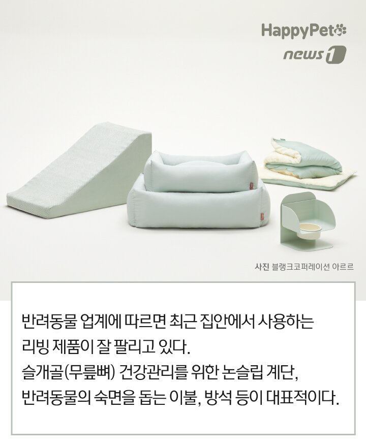 본문 이미지 -  