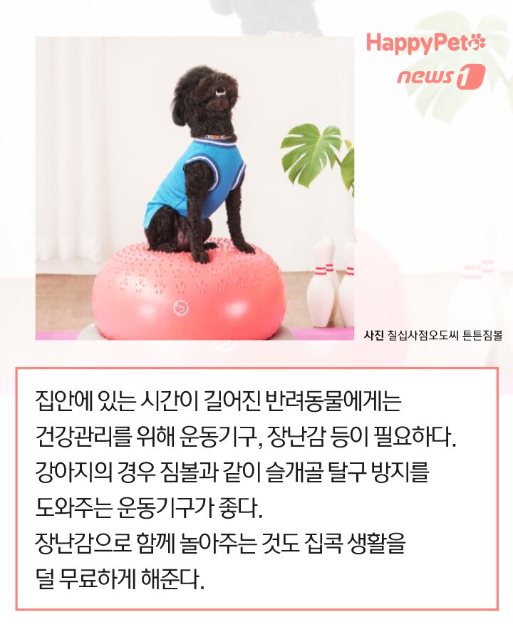 본문 이미지 -  