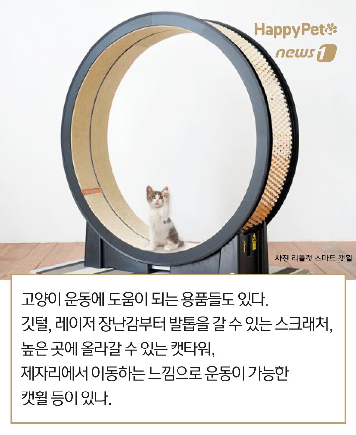 본문 이미지 -  