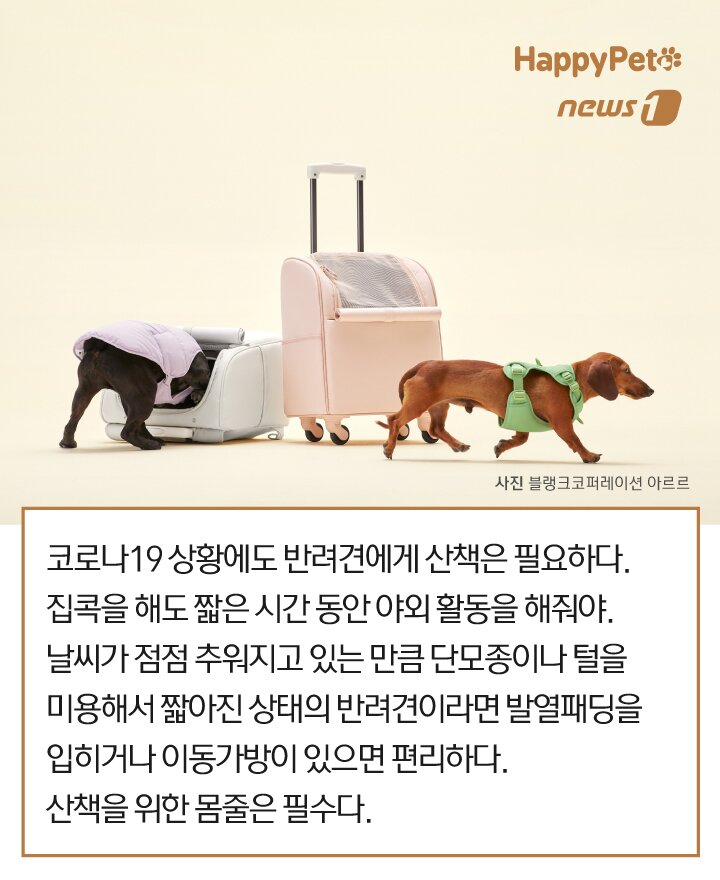 본문 이미지 -  