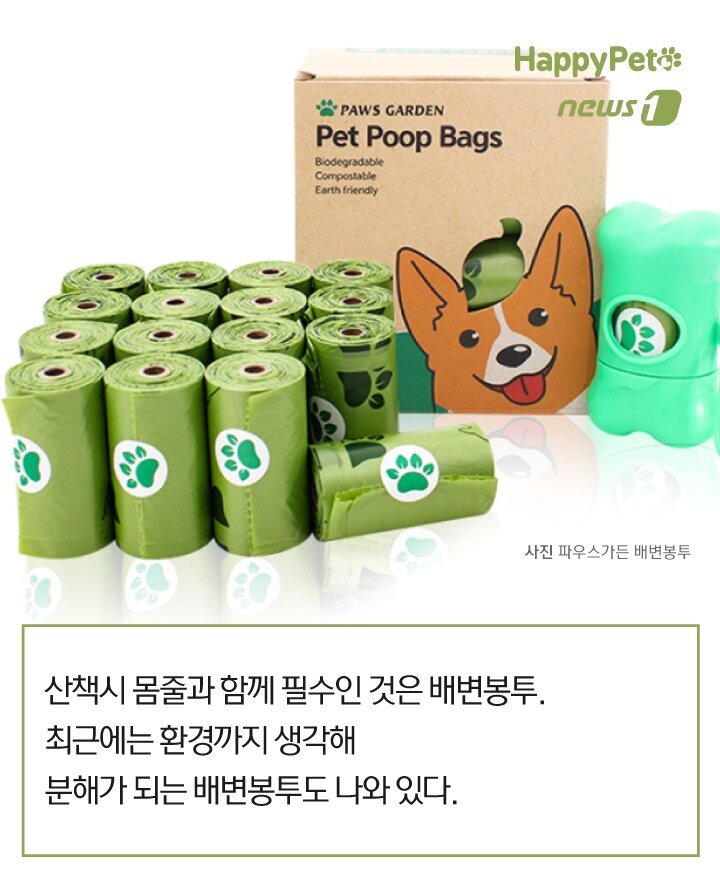 본문 이미지 -  