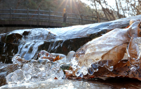 충남 아침 '맹추위'…계룡산 탐방객 전년 주말과 비교하면 70% 줄어