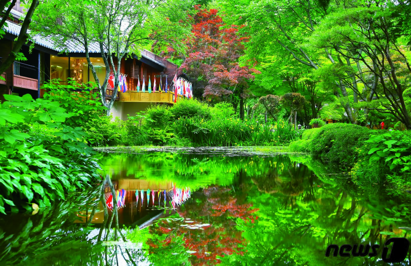 본문 이미지 - 남이섬 호텔정관루 전경 ⓒ 뉴스1