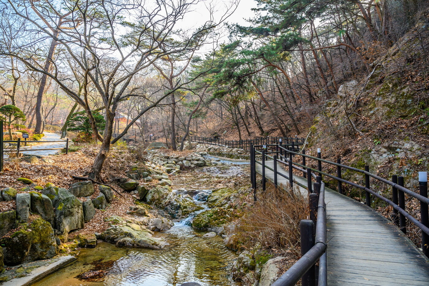 본문 이미지 - 진관사의 마음의 정원으로 이어진 산책로