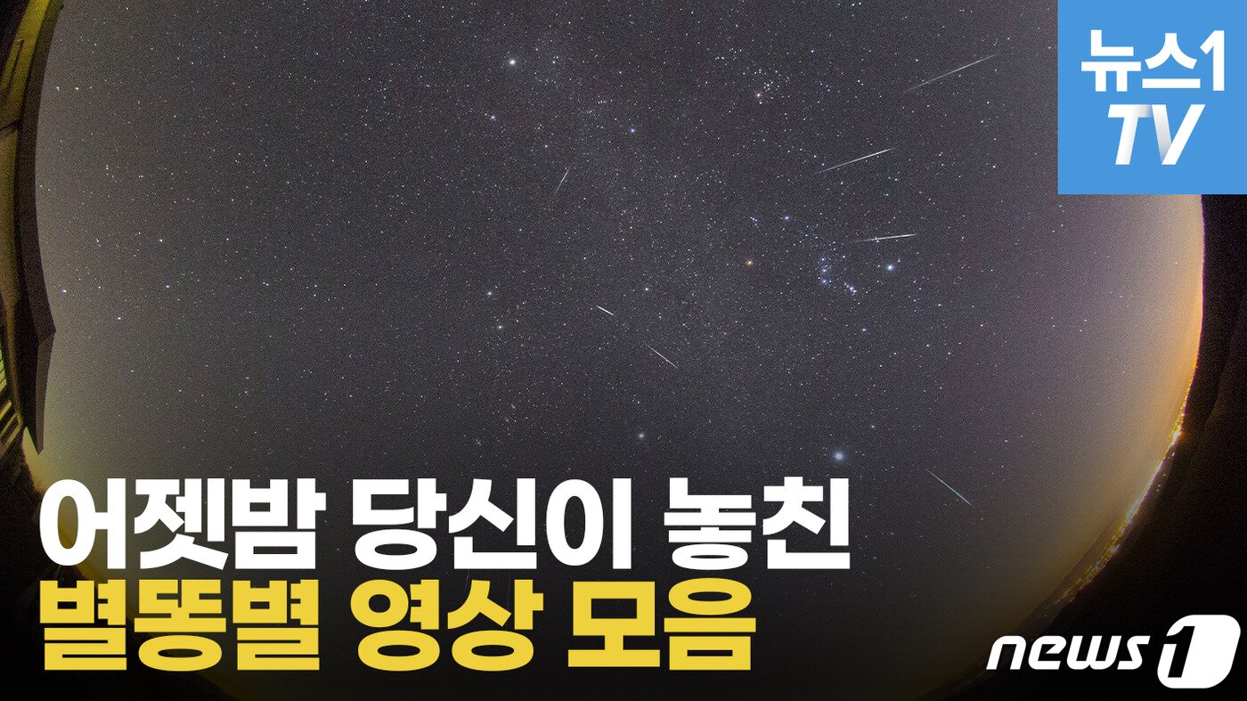 본문 이미지 - ⓒ 뉴스1