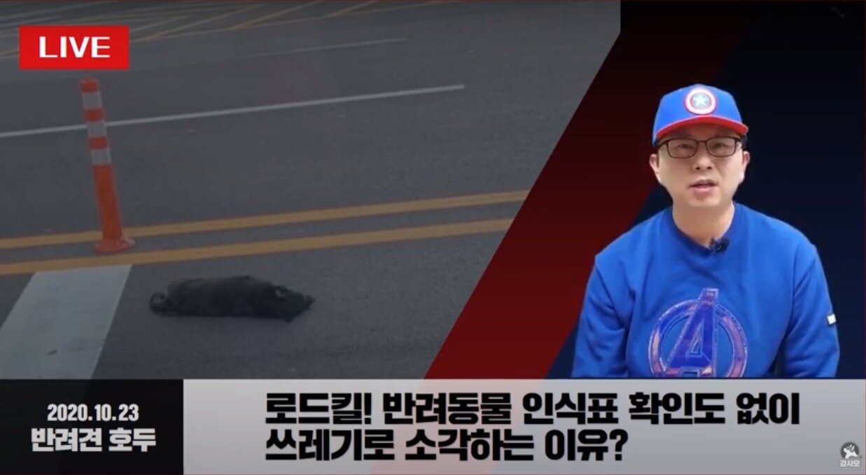 본문 이미지 - 사진 강사모TV 유튜브 화면 갈무리 ⓒ 뉴스1