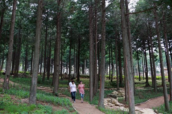 장흥군, 치유관광 중심지 도약 기반 마련…국비 120억 투입