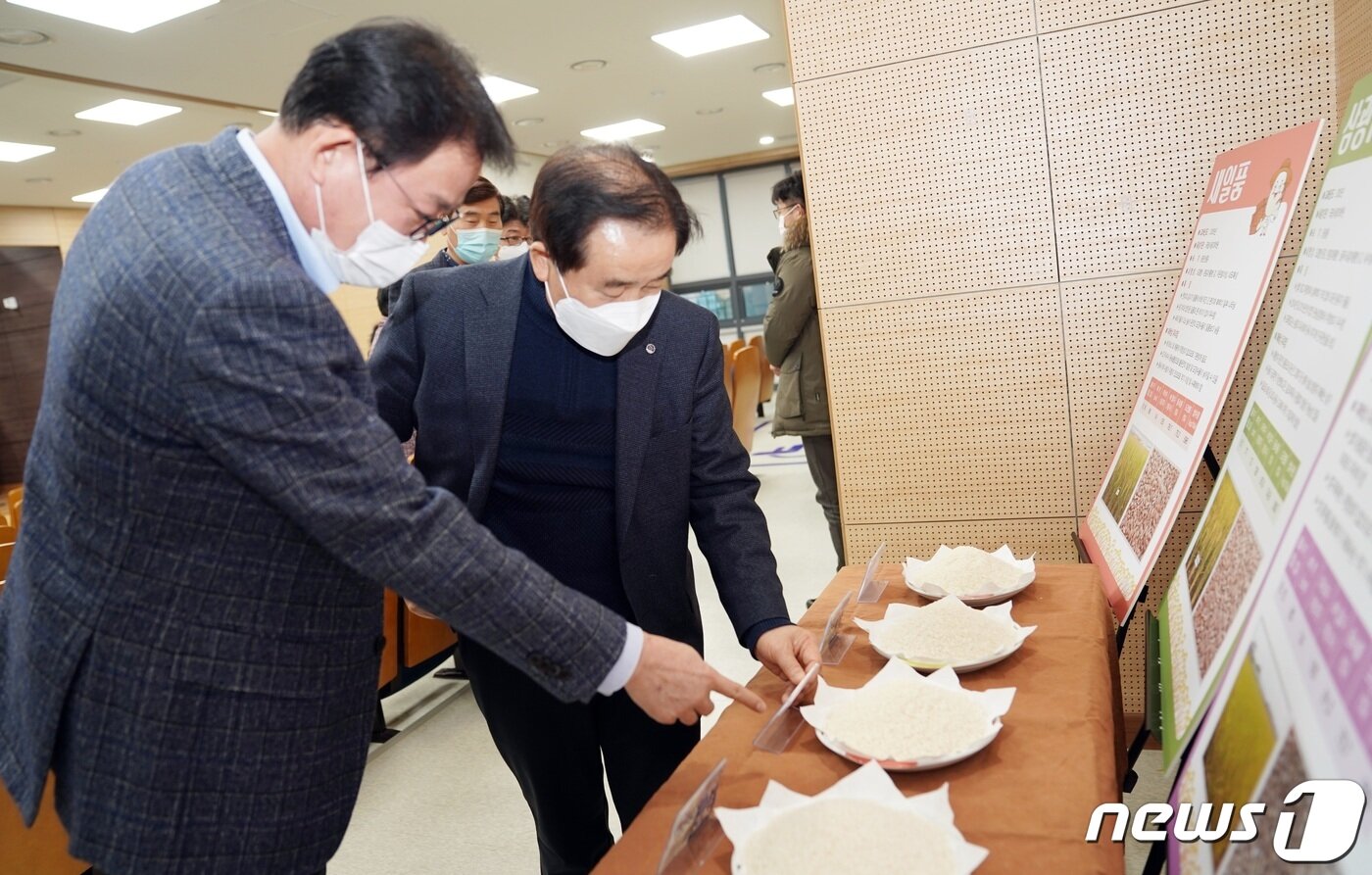 본문 이미지 - 식미 평가회.(진천군 제공)ⓒ 뉴스1