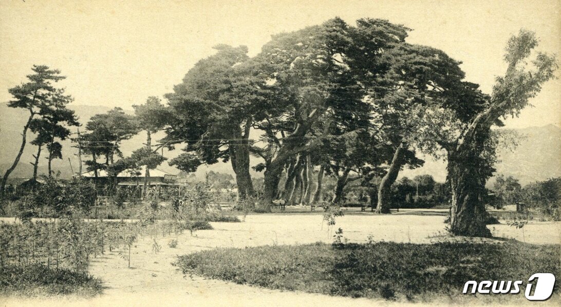 본문 이미지 - 일제강점기 때 석왕사 관광을 위해 건설된 석왕사역 모습. (미디어한국학 제공) 2020.12.19.ⓒ 뉴스1