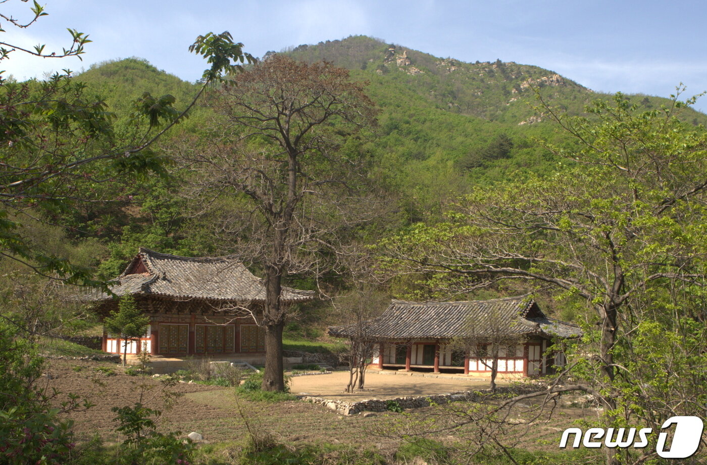 본문 이미지 - 원산 반룡산 기슭에 있는 명적사 대웅전과 심검당 전경. (미디어한국학 제공) 2020.12.19.ⓒ 뉴스1