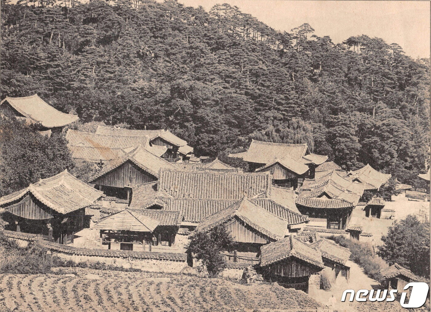 본문 이미지 - 일제강점기 때 석왕사 전경. 당시에는 30개가 넘는 전각과 문루가 있었지만 6.25전쟁 때 불이문, 조계문, 설성동루, 호지문을 제외한 대부분의 전각들이 소실됐다. (미디어한국학 제공) 2020.12.19.ⓒ 뉴스1