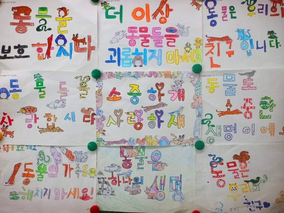 본문 이미지 - 서울 창원초등학교가 최근 2학년 아이들에게 내 준 동물사랑 과제. 사진 독자 제공 ⓒ 뉴스1