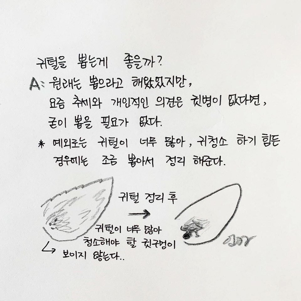 본문 이미지 -  
