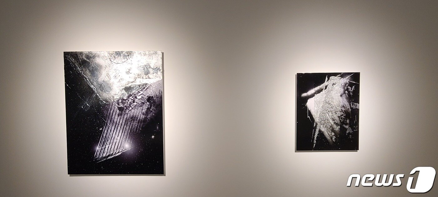 본문 이미지 - 호텔 안테룸 서울 '갤러리 9.5 서울'에 설치된 배성용 작가의 작품들.ⓒ 뉴스1 이기림 기자