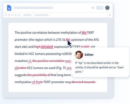 본문 이미지 - ㈜워드바이스, ‘프루프리딩익스프레스’ 서비스 화면 ⓒ 뉴스1