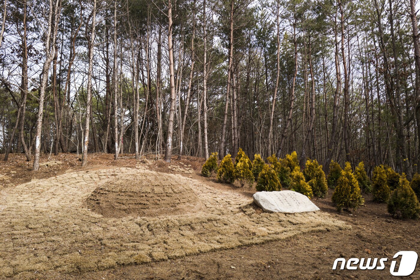 본문 이미지 - 고  신격호 명예회장의 묘역 (울산대 제공)ⓒ 뉴스1