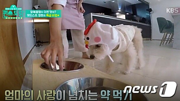 본문 이미지 - KBS 편스토랑 ⓒ 뉴스1