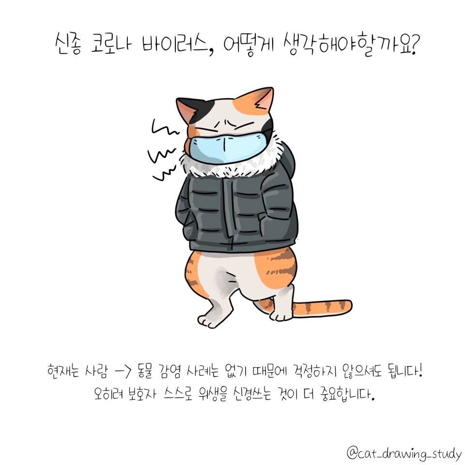 본문 이미지 - ⓒ 뉴스1