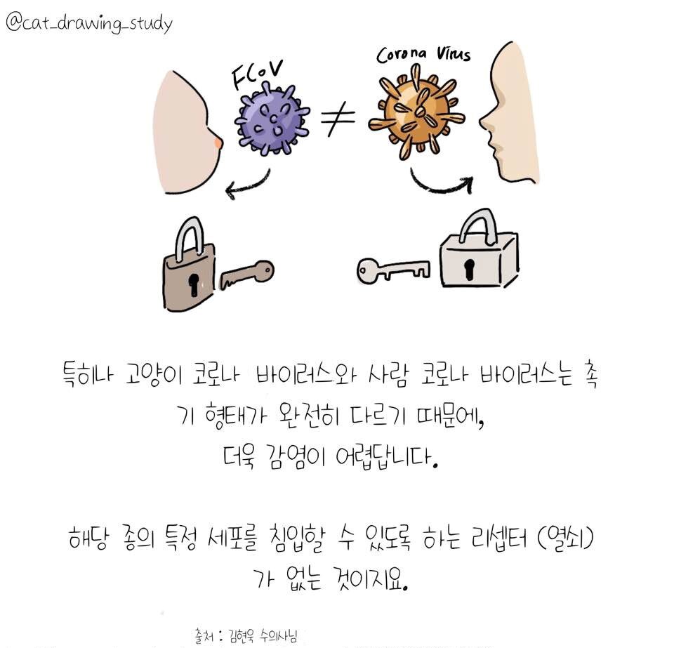 본문 이미지 - ⓒ 뉴스1