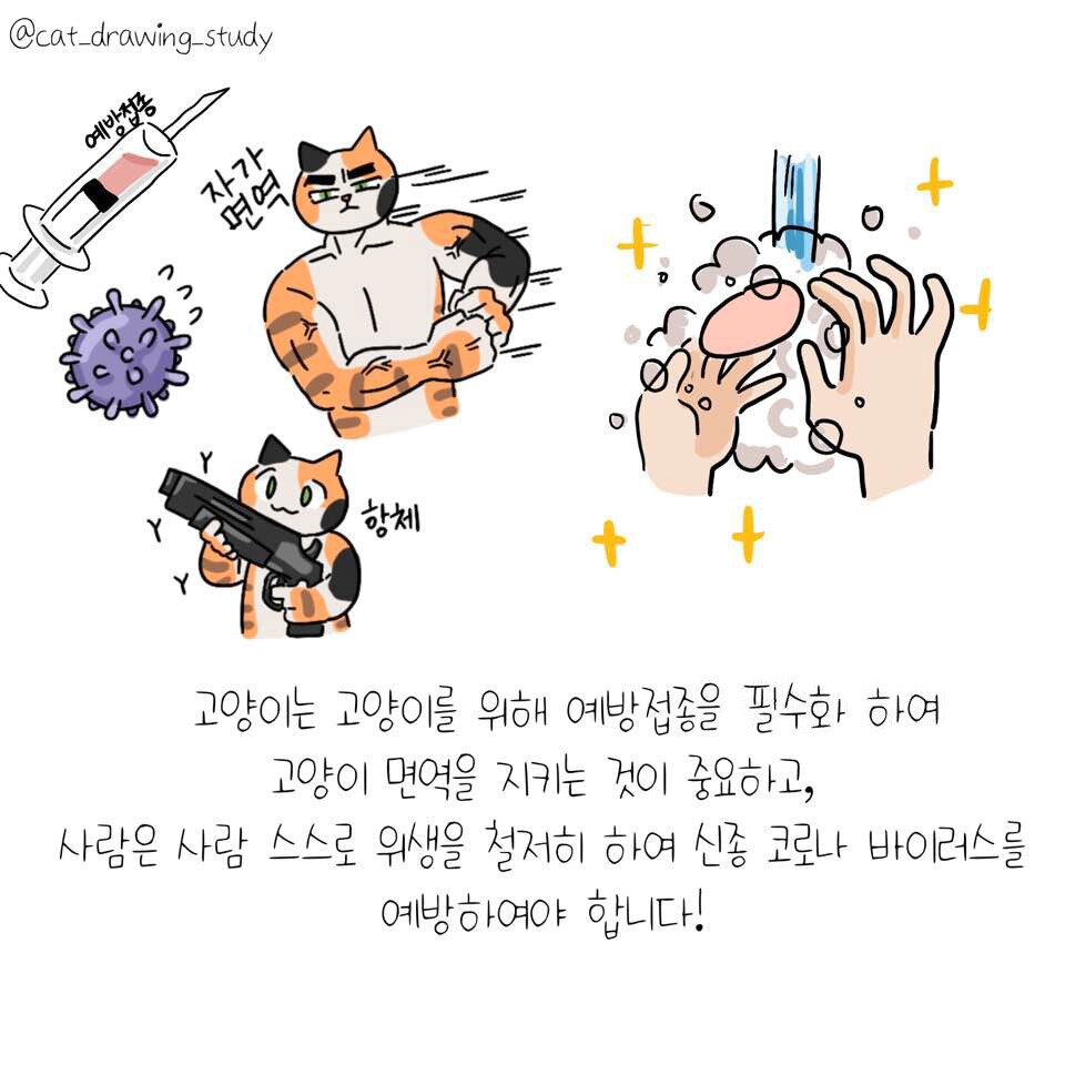 본문 이미지 - ⓒ 뉴스1