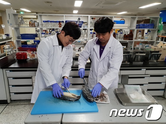 대전보건환경연구원 관계자들이 '수산물 속 중금속 함량'을 분석하고 있다.© 뉴스1