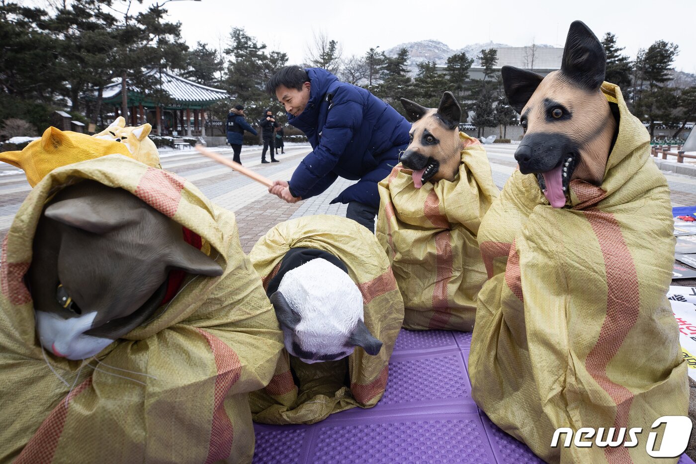 본문 이미지 - 1500만 반려인 연대 등 동물보호단체 회원들이 17일 서울 종로구 청와대 분수대 앞에서 기자회견을 열고 개·고양이 식용 종식 및 개 가축 제외를 촉구하는 퍼포먼스를 펼치고 있다. 2020.2.17/뉴스1 ⓒ News1 유승관 기자