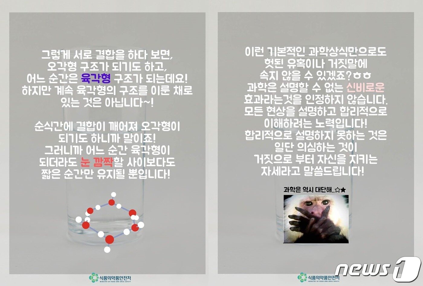 본문 이미지 - &#40;식품의약품안전처 페이스북 갈무리&#41; ⓒ 뉴스1