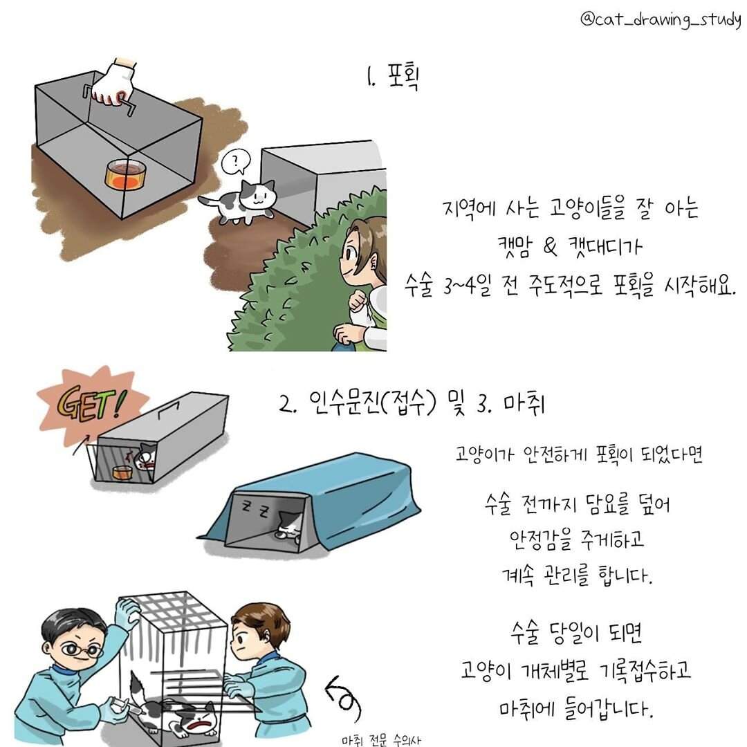 본문 이미지 -