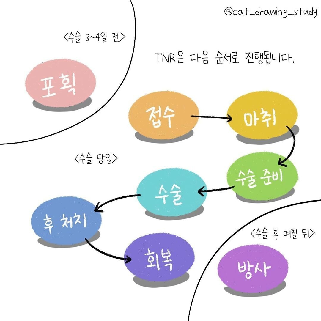 본문 이미지 -