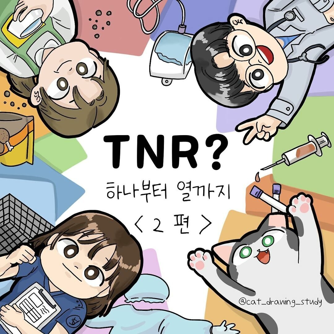 본문 이미지 -
