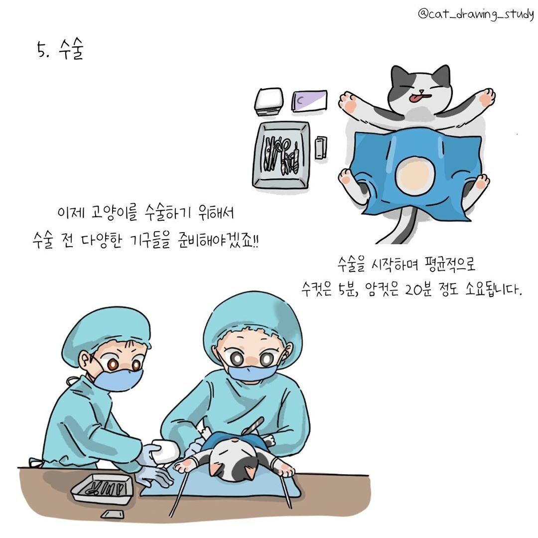 본문 이미지 -