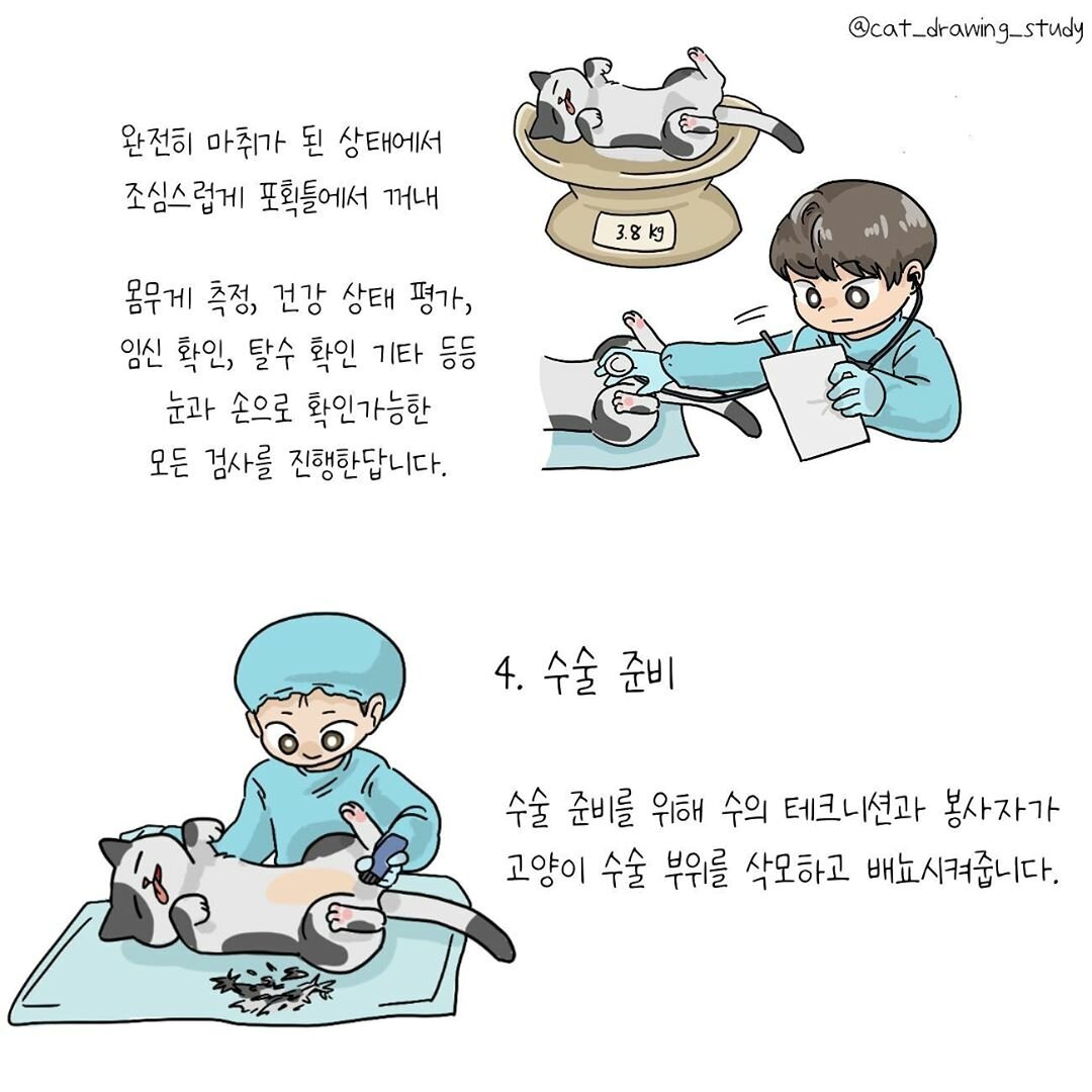 본문 이미지 -