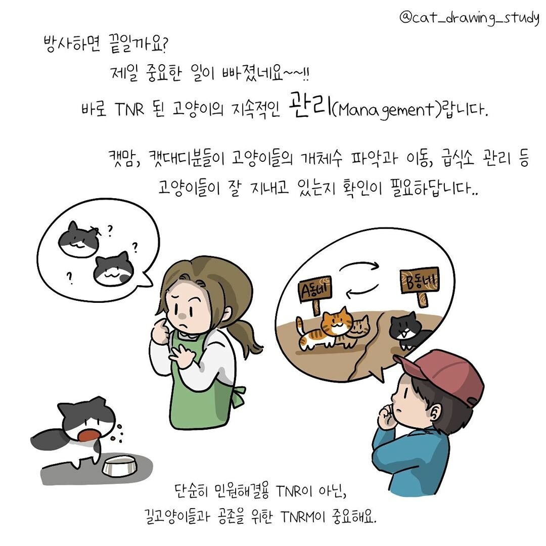 본문 이미지 -