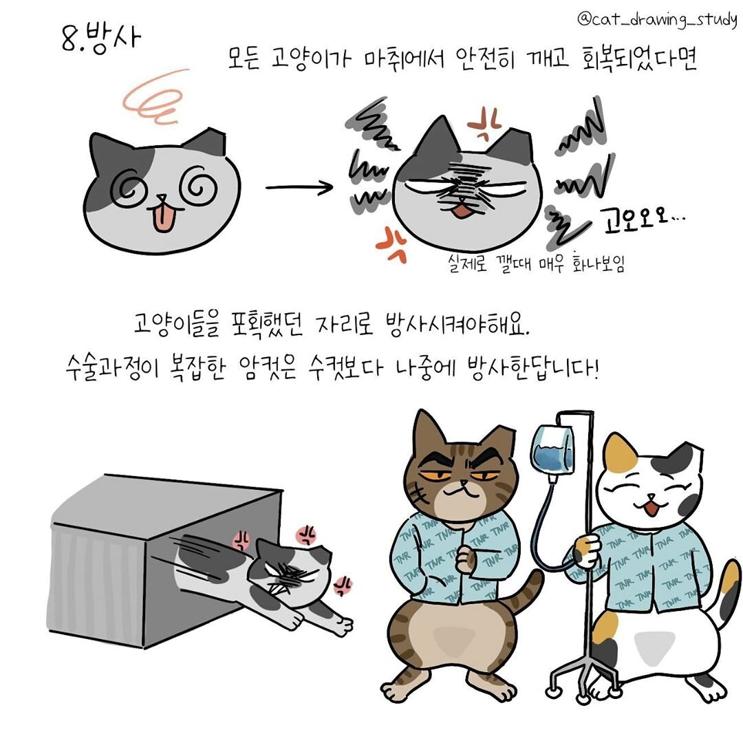 본문 이미지 -