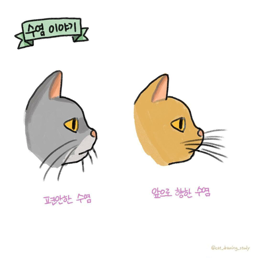 본문 이미지 -  