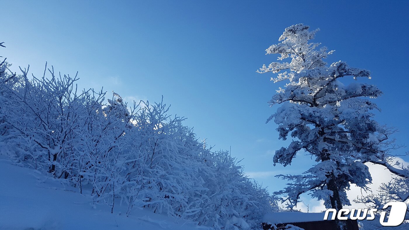 본문 이미지 - 전날 강원 산지를 중심으로 많은 눈이 내린 27일 오전 설악산 소청대피소 일대가 하얀 눈으로 뒤덮여 있다. (설악산국립공원사무소 제공) 2020.2.27/뉴스1 ⓒ News1