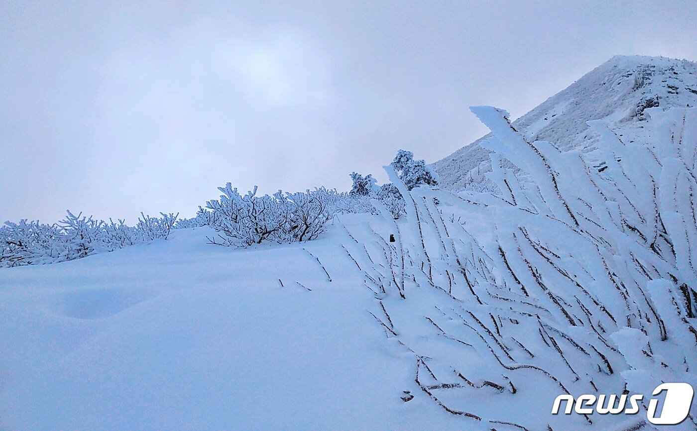 본문 이미지 - 전날 강원 산지를 중심으로 많은 눈이 내린 27일 오전 설악산 중청대피소에서 바라본 일대가 하얀 눈으로 뒤덮여 있다. (설악산국립공원사무소 제공) 2020.2.27/뉴스1 ⓒ News1